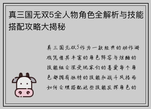真三国无双5全人物角色全解析与技能搭配攻略大揭秘